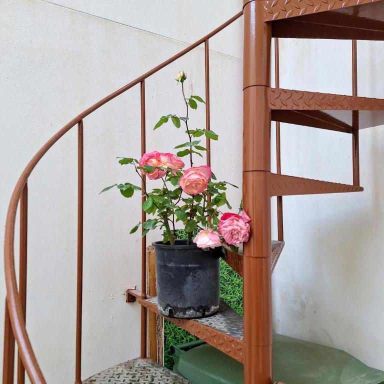 Living Bouganville - Monolocale - 42