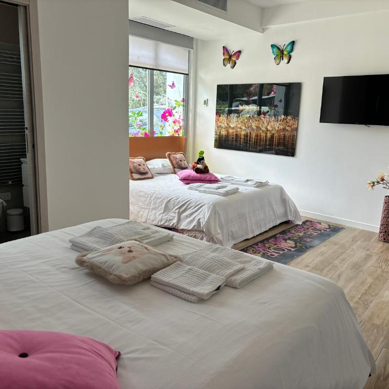 Un sogno sul lago Home Relax - Camera King Superior - 3