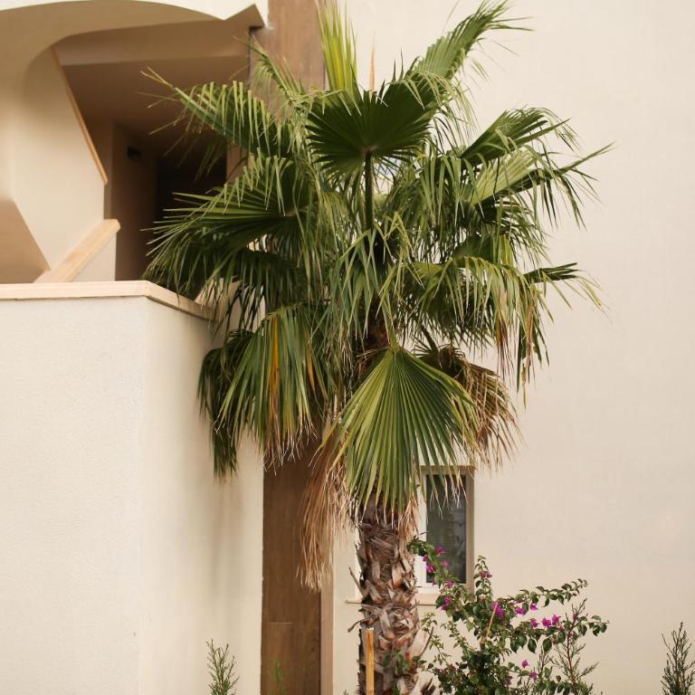 Modern flat with Montgo view - Apartamento de 1 dormitorio - 47