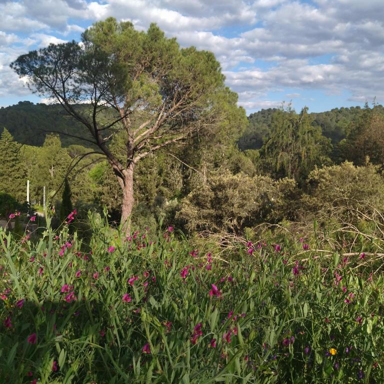 Bonita casa blanca en el bosque. - Two-Bedroom House - 5