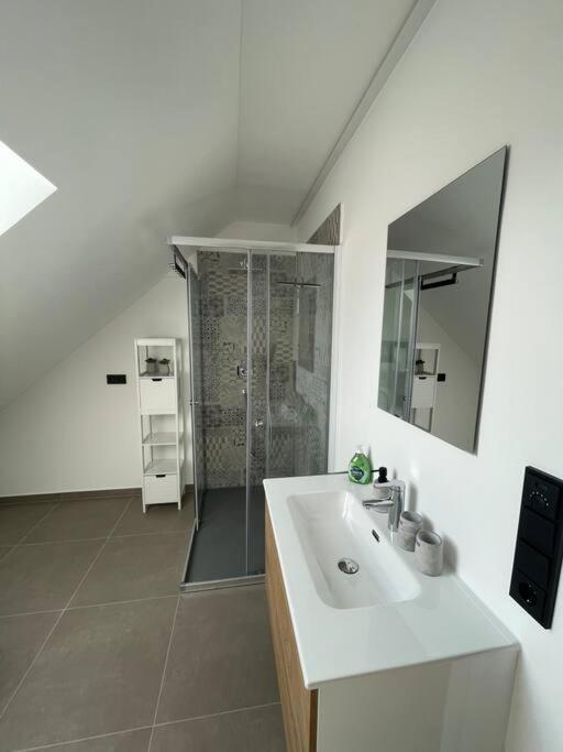 Penthouse Alpenblick - Appartamento con 1 Camera da Letto - 9