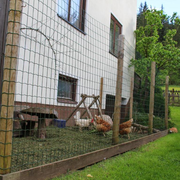 Frieda's Platzl - Apartment mit 2 Schlafzimmern - 17