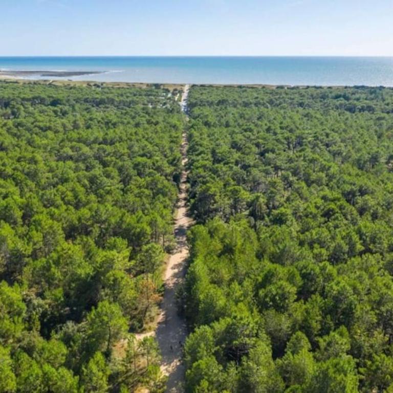 Au pied de la forêt - Casa de 3 dormitorios - 25