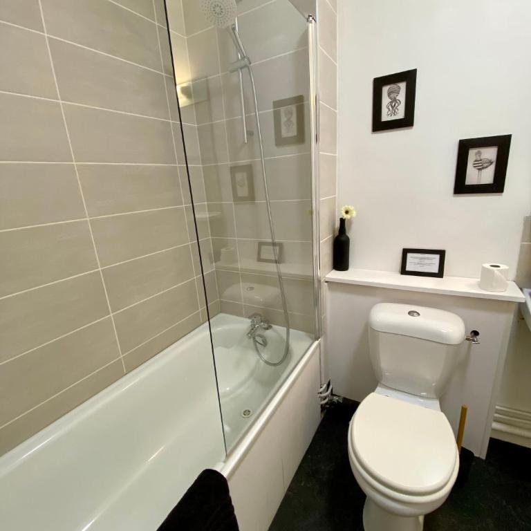 Superbe appartement confortable, proche centre ville - Studio - 18