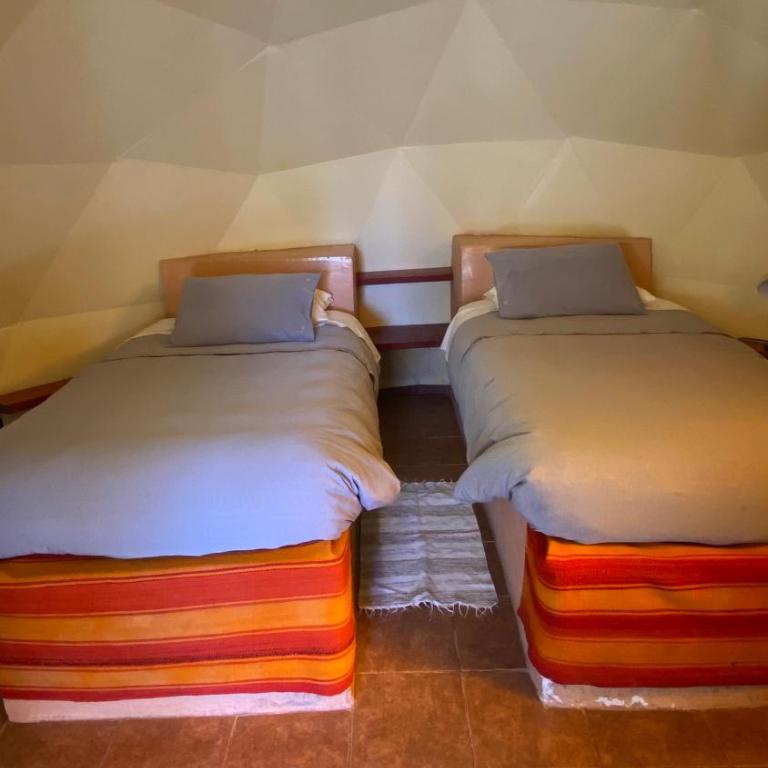 San Pedro Domos - Habitación Doble Económica con baño privado - 2 camas - 5