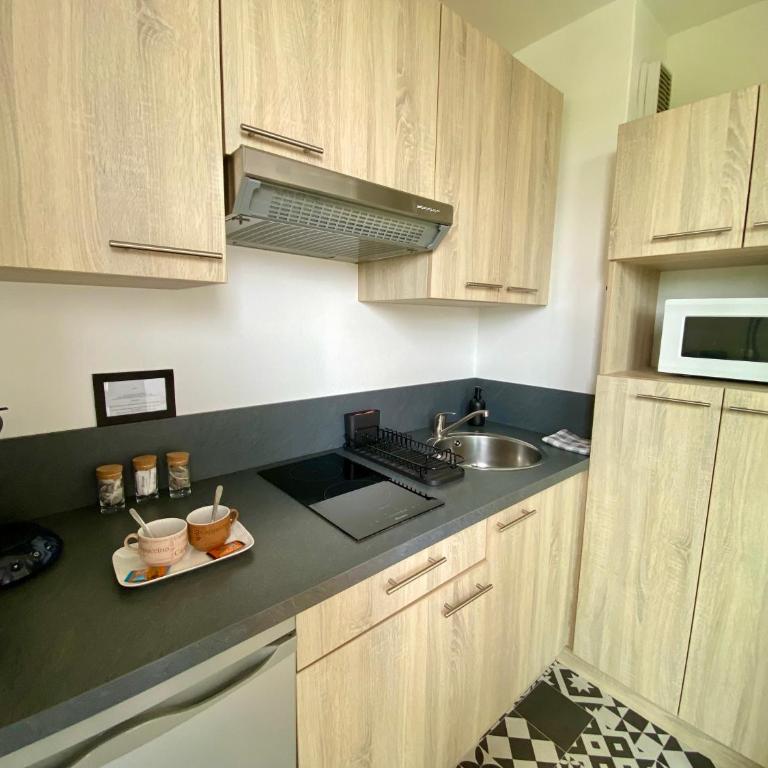 Superbe appartement confortable, proche centre ville - Studio - 9