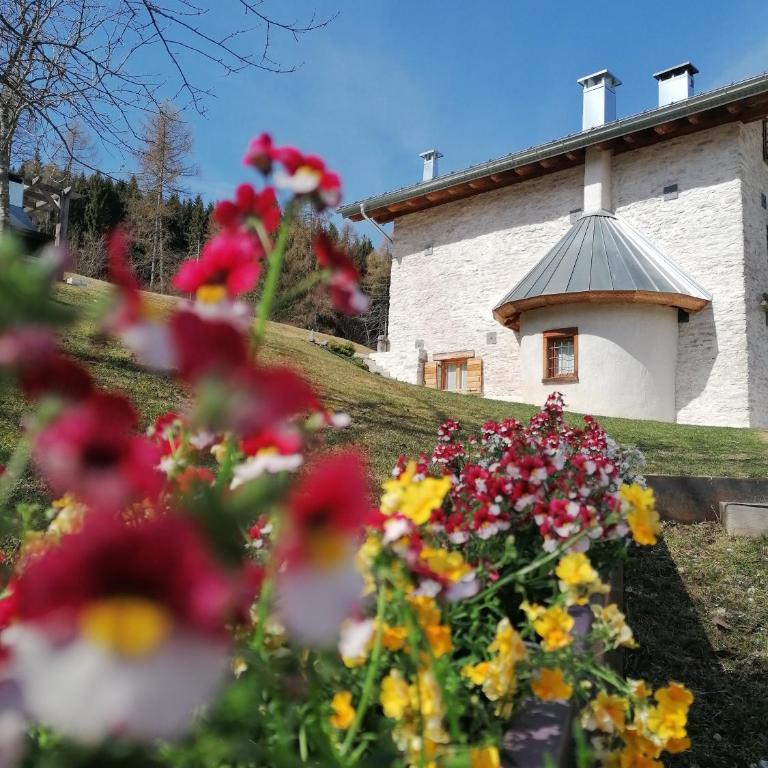 Maso Stella - Ferienhaus - 2