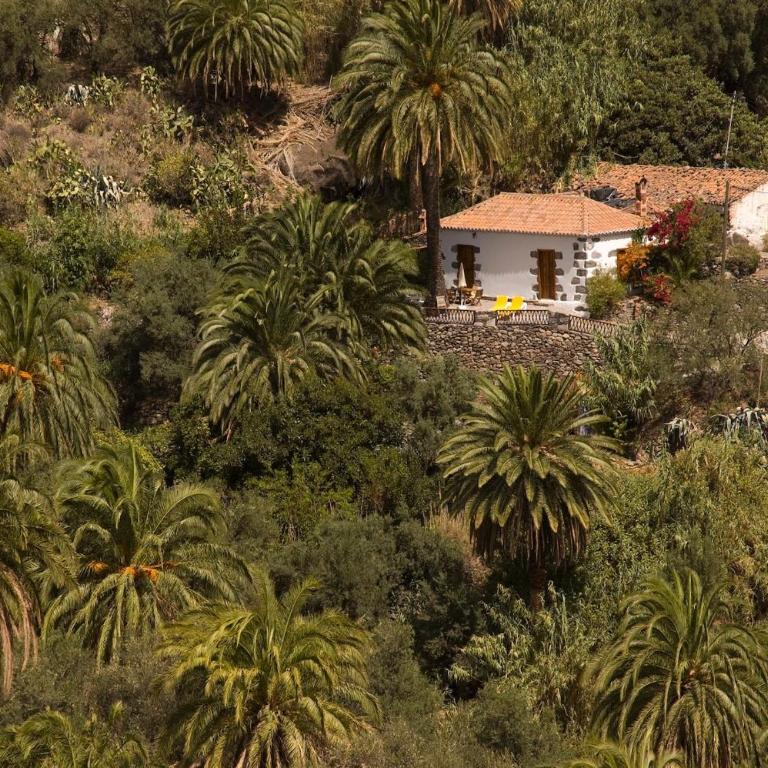 Casa con piscina en San Bartolome - Vacation Home - 21
