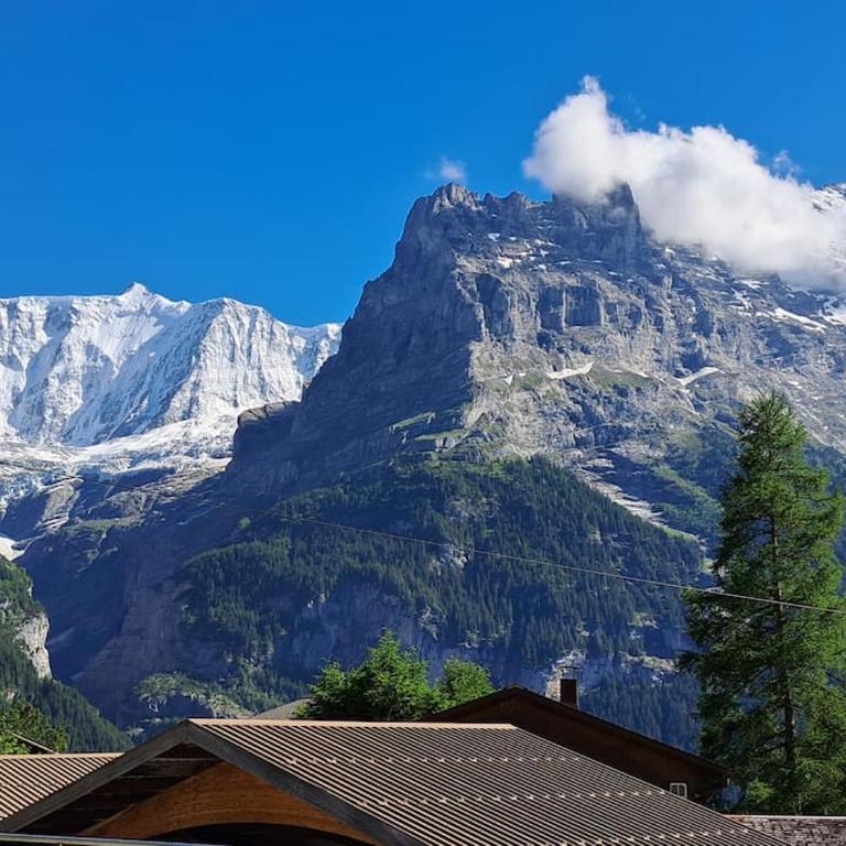 Chalet Engi Apt. 3 for up to 8 People - Apartment mit 3 Schlafzimmern und Bergblick - 3