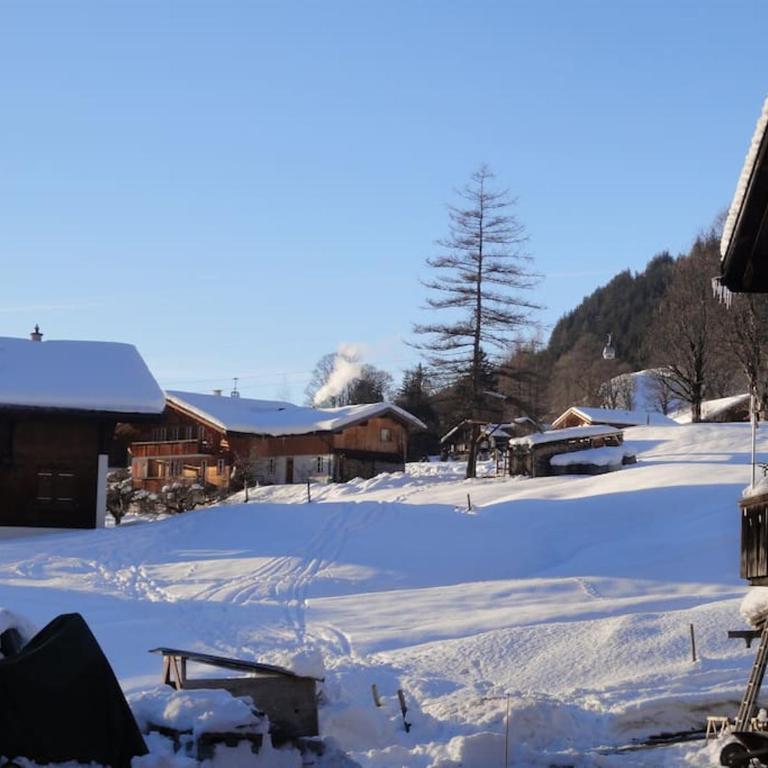 Chalet Engi Apt. 3 for up to 8 People - Apartment mit 3 Schlafzimmern und Bergblick - 18