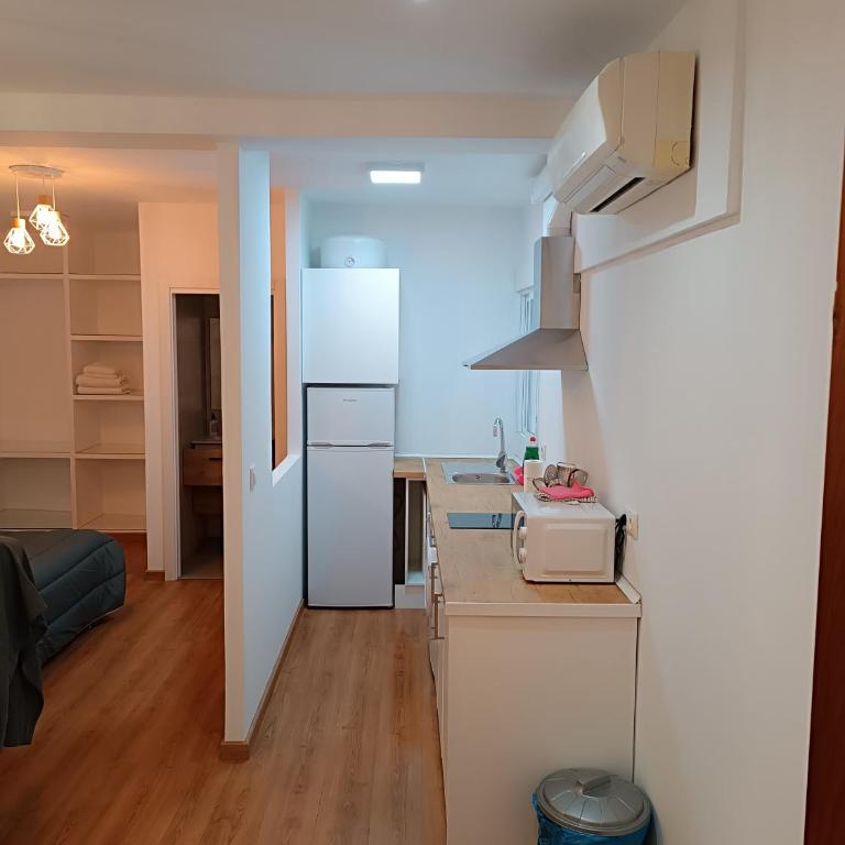 Apartamento Calle Concepción Pleno Centro - Apartamento Estudio - 1