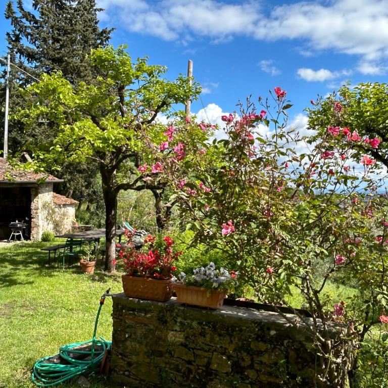 La Casina dei Frati - Casa Vacanze - 2