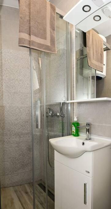 Vujovic Studio Apartment - Studio - 5