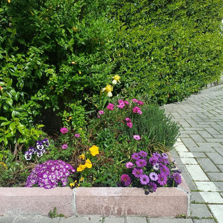 Appartamenti Borghetto San Donato 105 - Superior Apartment - 3