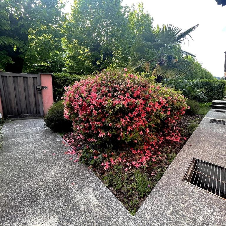 Appartamento Riviera - Appartamento con 1 Camera da Letto e Balcone - 21