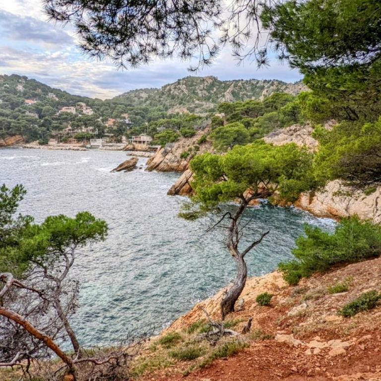 2 Pièces 45m2, Calme, Confort, Mer à 200m, Jardin, Terrasse, Piscine - Appartamento con Vista Giardino - 49