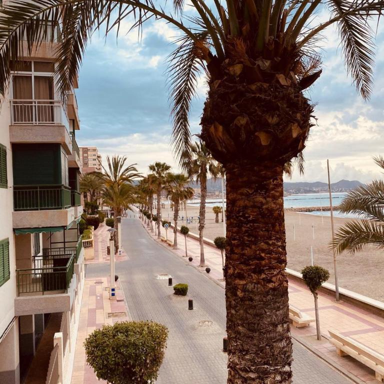 El Campello, Vista al mar primera linea de playa - Apartamento de 3 dormitorios - 19