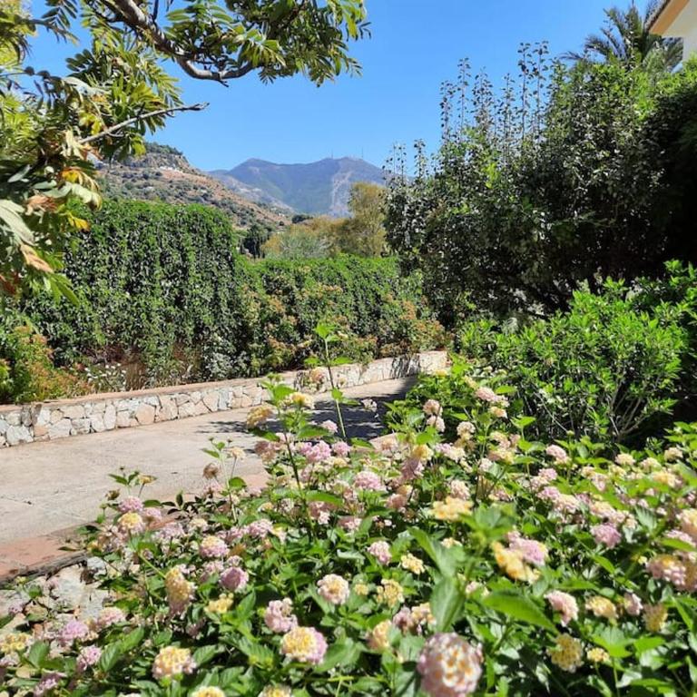 Villa Puerto de la Luz - Villa - 74