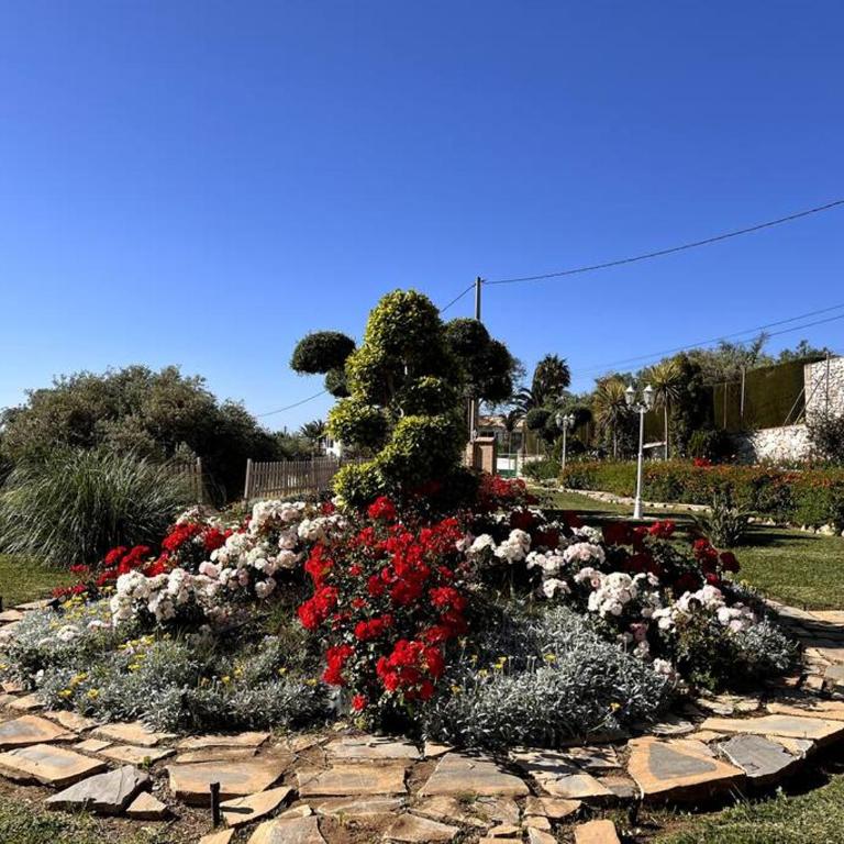 Villa Puerto de la Luz - Villa - 50