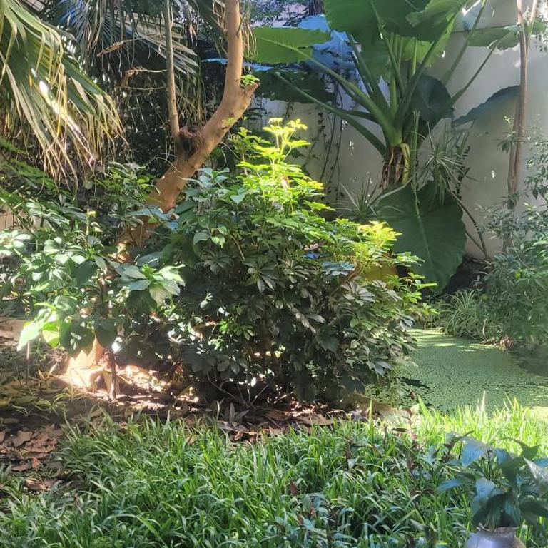 Belgrano - Apartamento de 1 dormitorio - 4