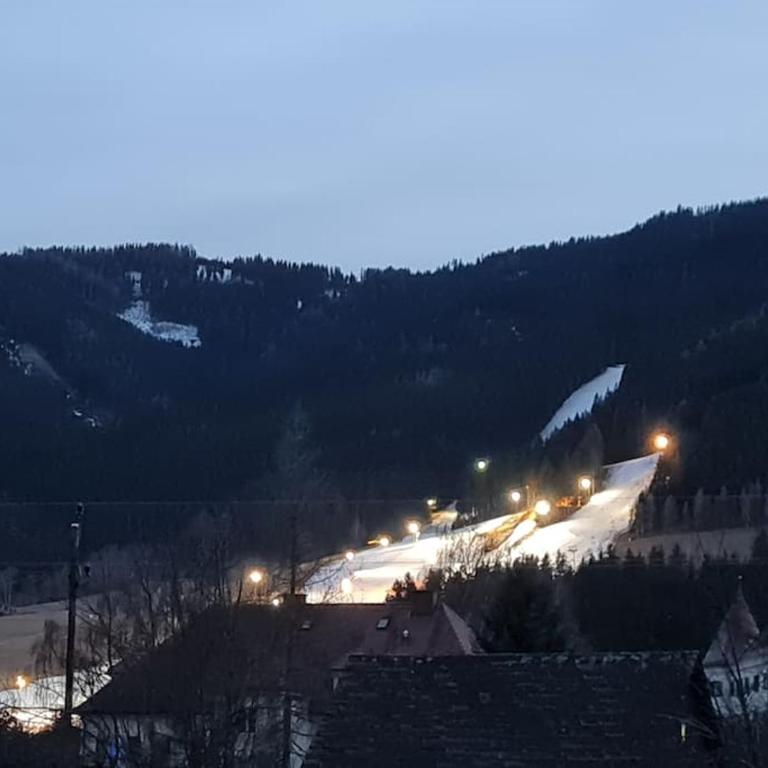 Apartment near Red Bull Ring - Apartment mit 1 Schlafzimmer und Balkon - 23
