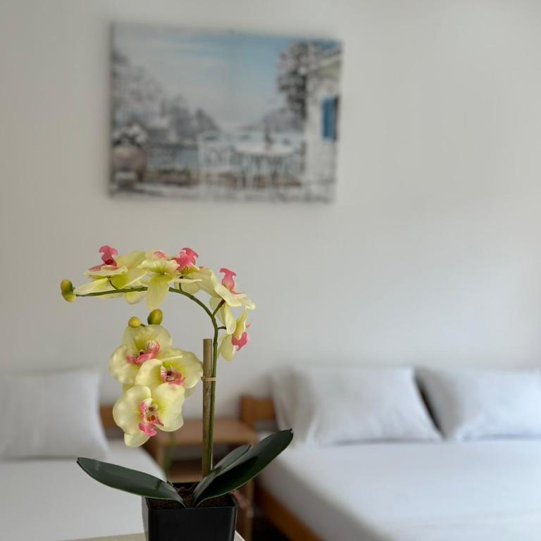 Ceka Apartments - Studio sa Balkonom - 7