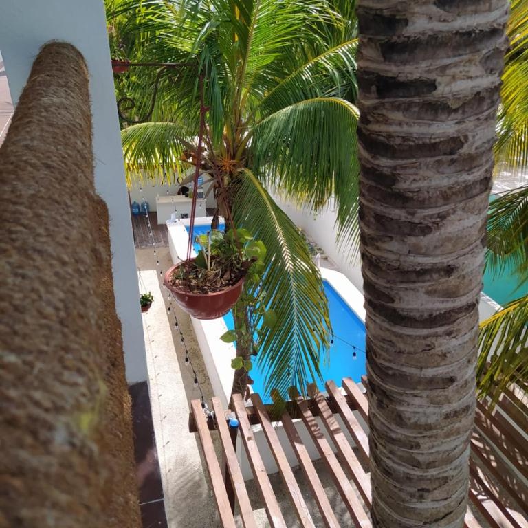 Casa aloha-Isla Holbox - Apartamento con vistas a la piscina - 45