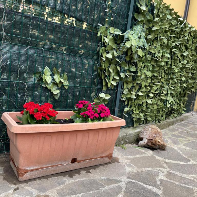 Appiolatino - Il Fenicottero - Appartamento con Vista Giardino - 7