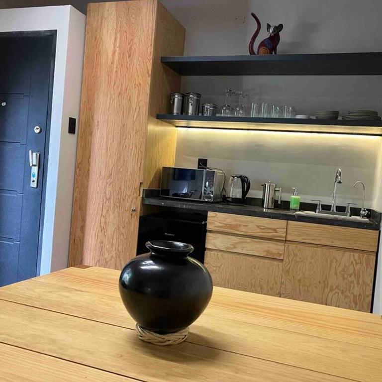 Coyoacan historico, museo Frida. - One-Bedroom Apartment - 18
