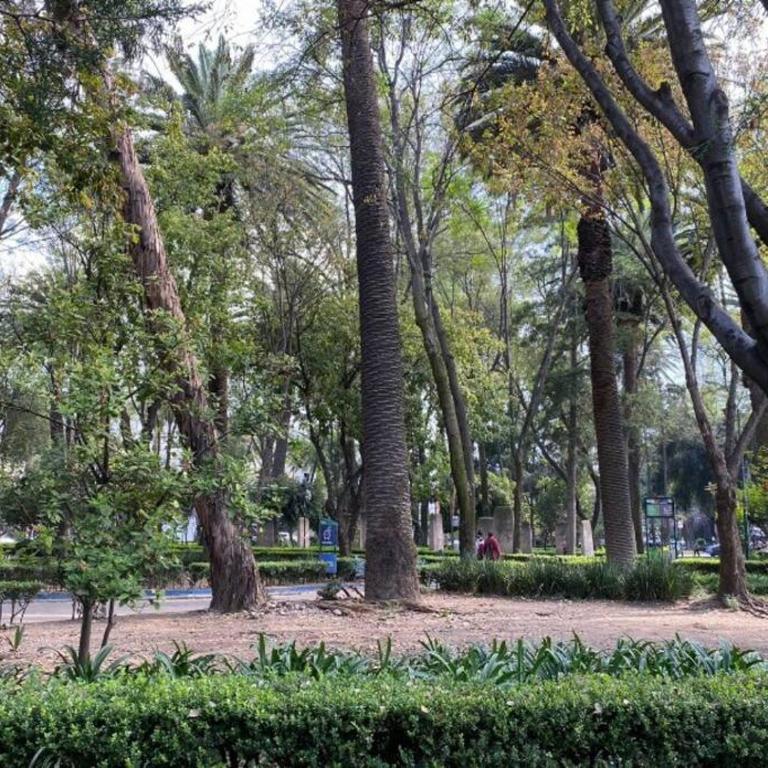 Park Narvarte - Apartamento de 2 dormitorios - 5