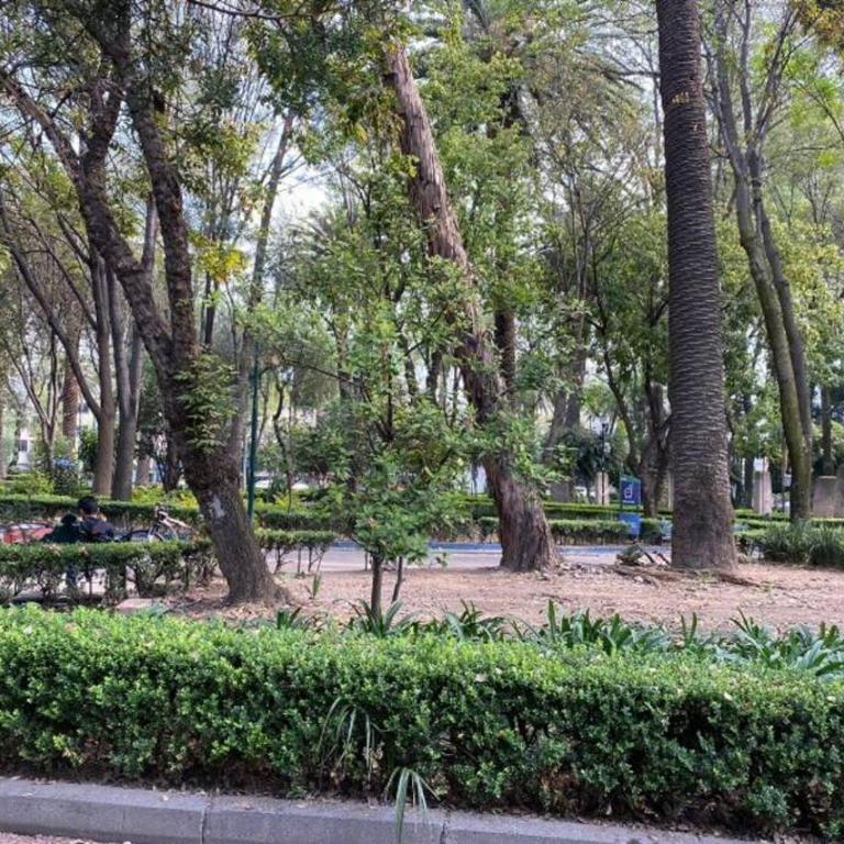 Park Narvarte - Apartamento de 2 dormitorios - 13
