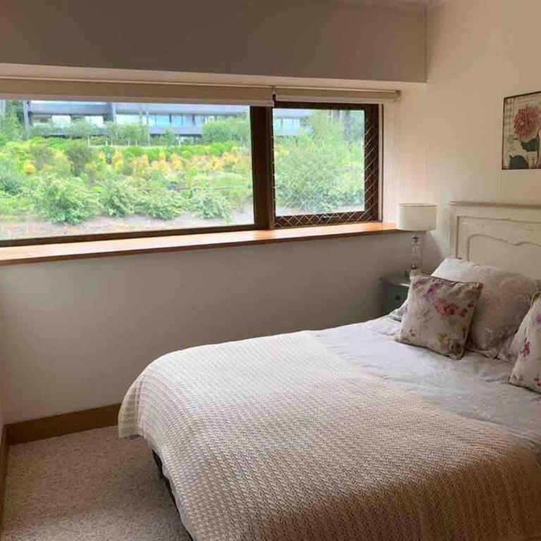Moderno depto con orilla de lago en Villarrica - Apartamento - 22