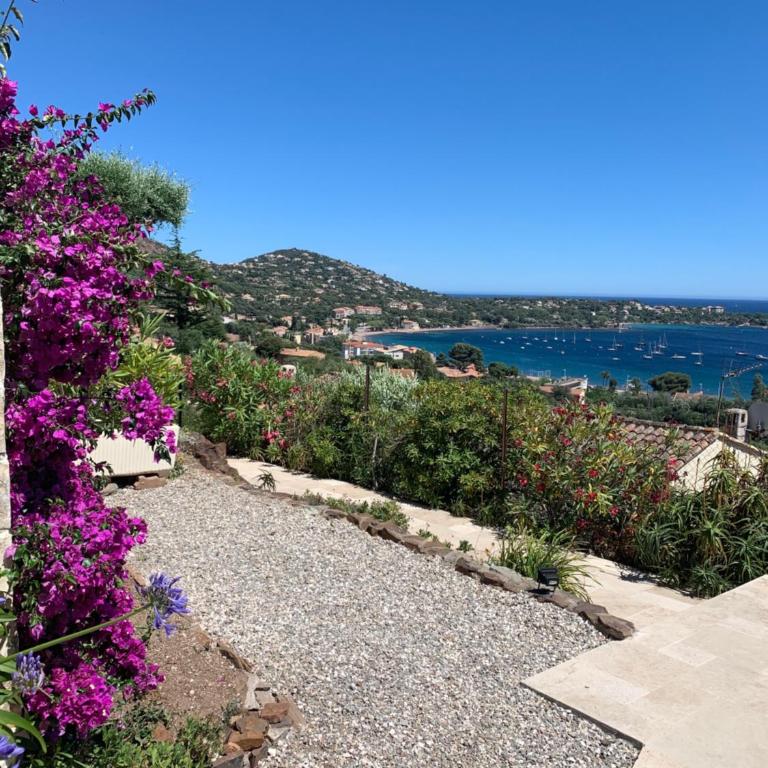 Villa Grand Baie - Studio "Mimosa" with Partial Sea View - 5