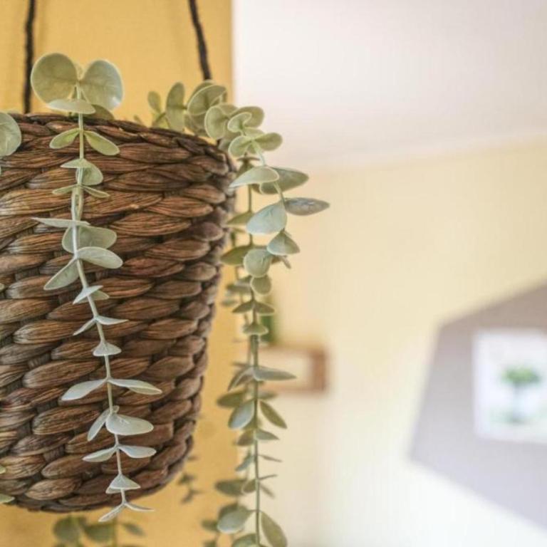 Apartment Dragonfly - Appartamento con 2 Camere da Letto - 57
