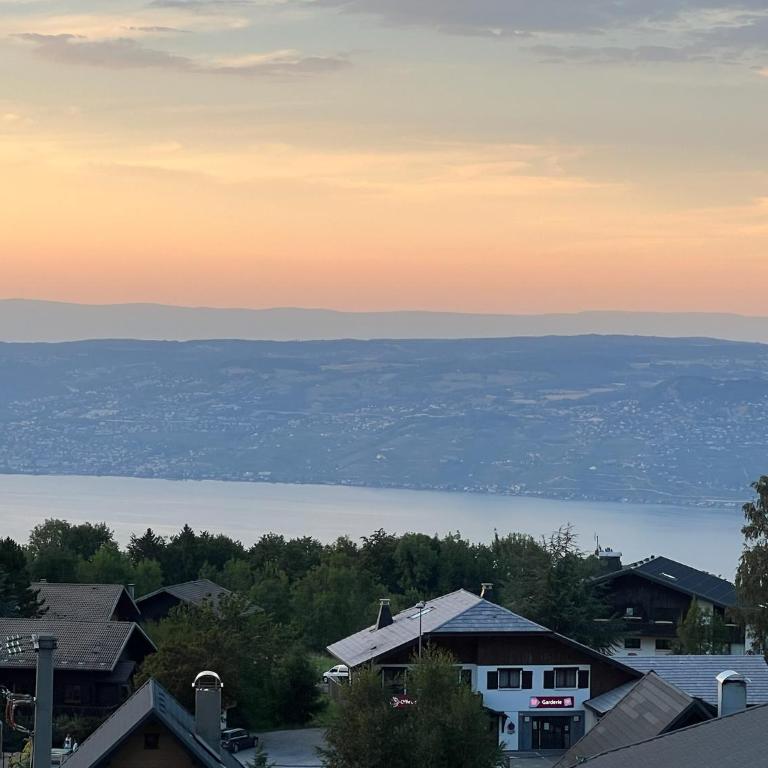 Stunning apartment with views over Lake Geneva - Appartement 2 Chambres - 18
