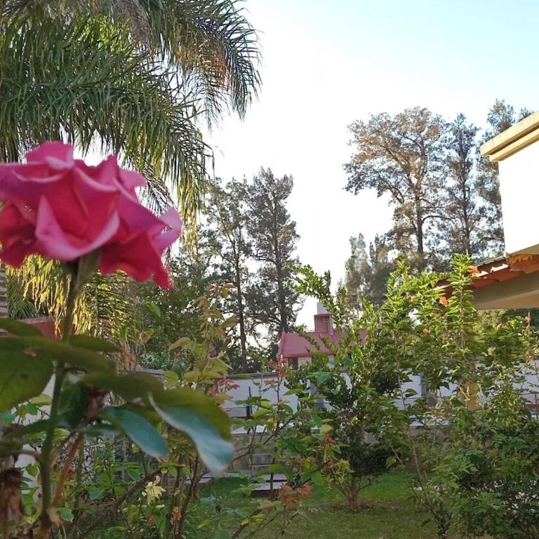 La Glorieta -Casas de descanso - Casa de 4 dormitorios - 7