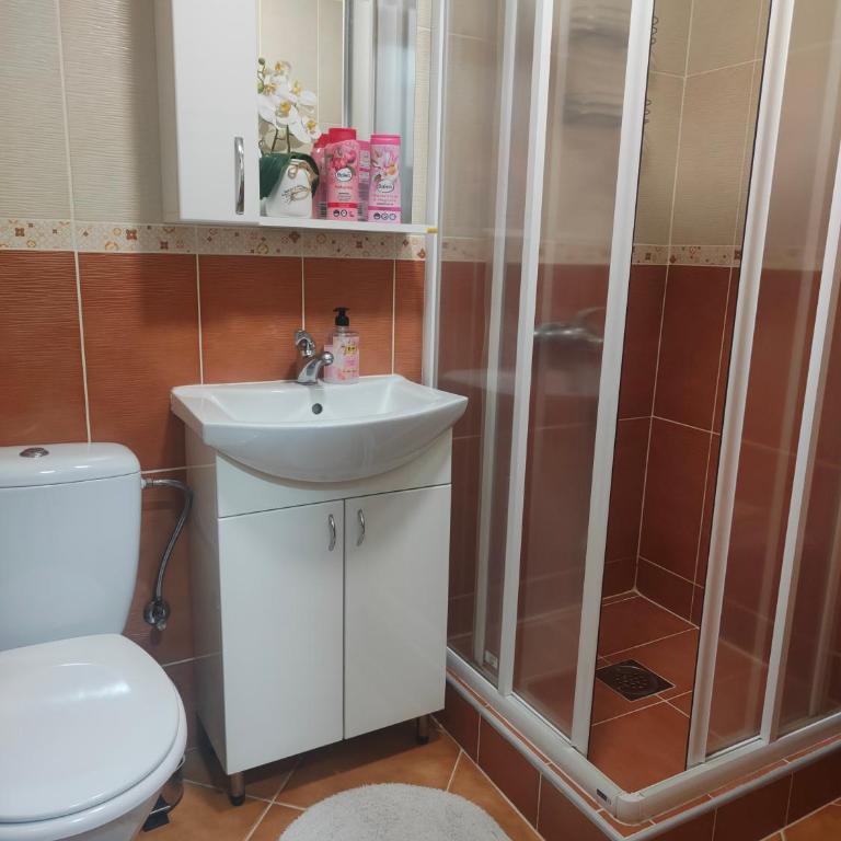 Apartman Harmonija Vrnjačka Banja - Apartman - 11