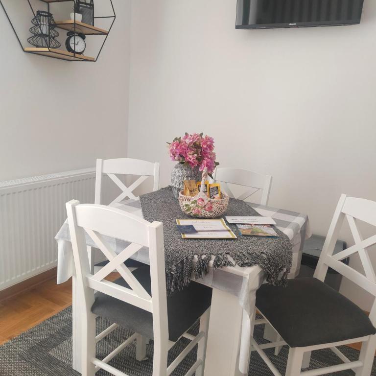 Apartman Harmonija Vrnjačka Banja - Apartman sa 1 Spavaćom Sobom - 19