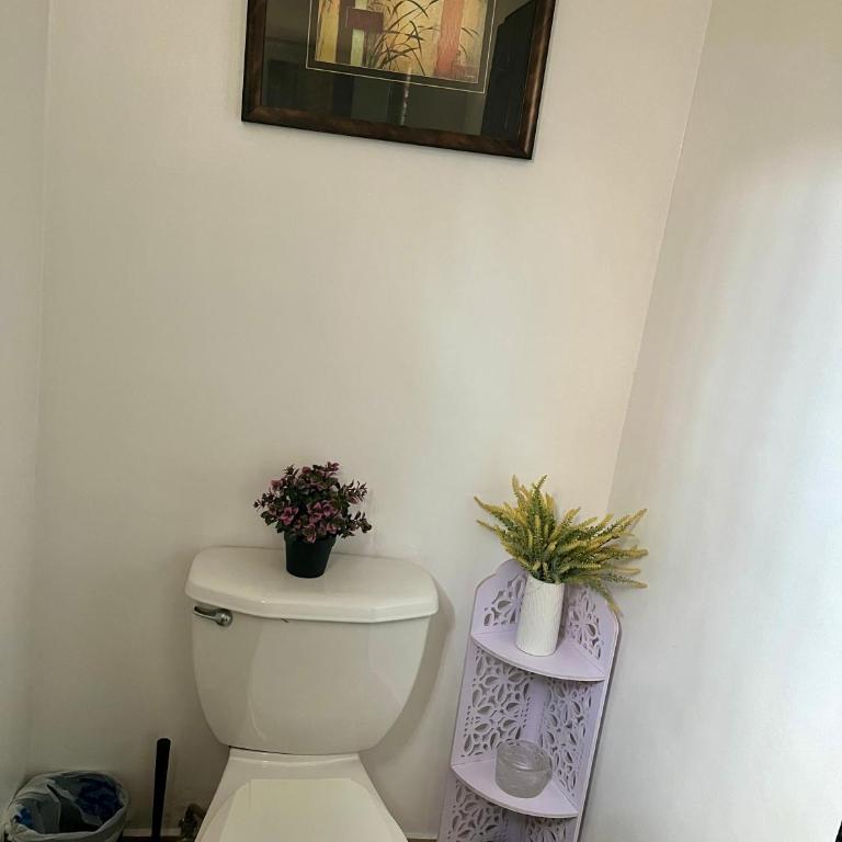 Casa en Chapultepec California - One-Bedroom House - 22