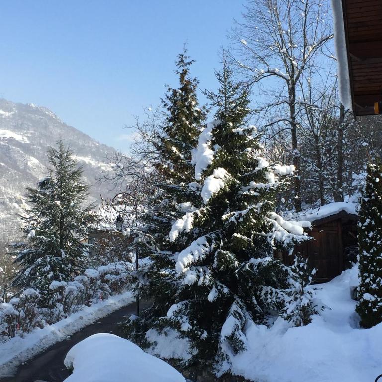 Chalet Greystone - Appartement avec Terrasse - 1