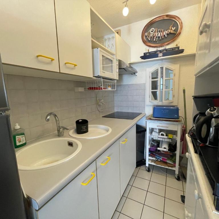 Studio cabine à Port Argelès avec loggia et parking privatif - FR-1-309-416 - Appartement - 2