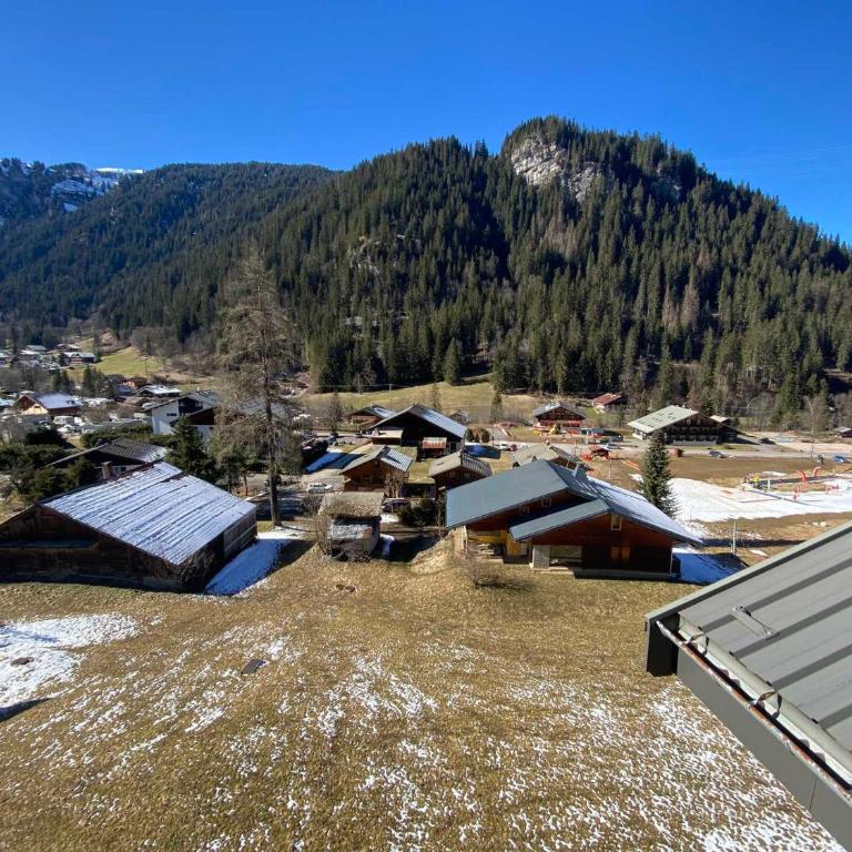 Charmant duplex avec balcon, proche ski et navettes, parking, WIFI - FR-1-693-109 - Appartement - 11