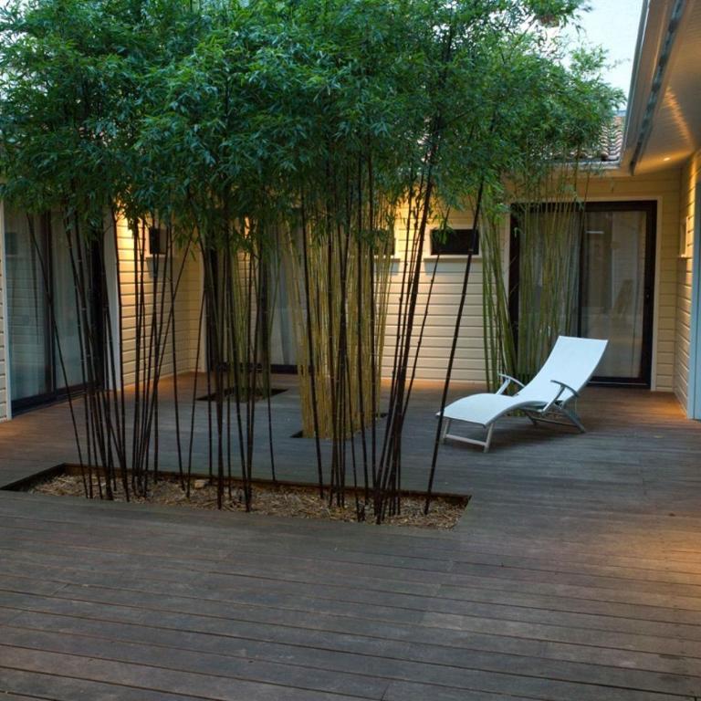 Paris-Pyla - Apartamento de 5 dormitorios - 12