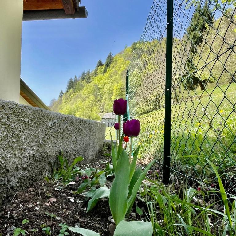 Panoramic Stay with Free Parking & Ski Slopes - Ferienhaus - 18