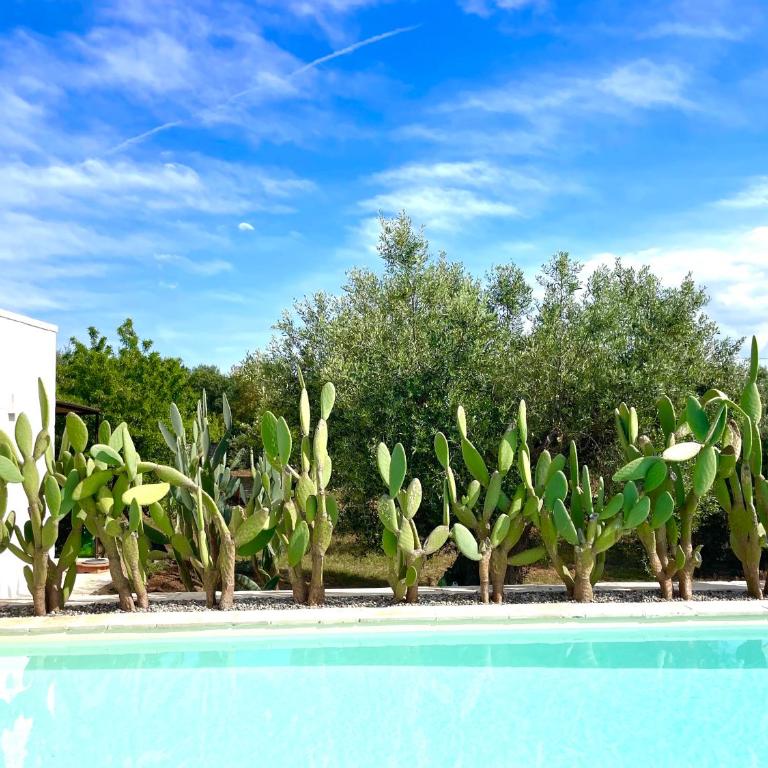 Trulli Lamascrasciola by Villa Experiences Puglia - Villa - 7