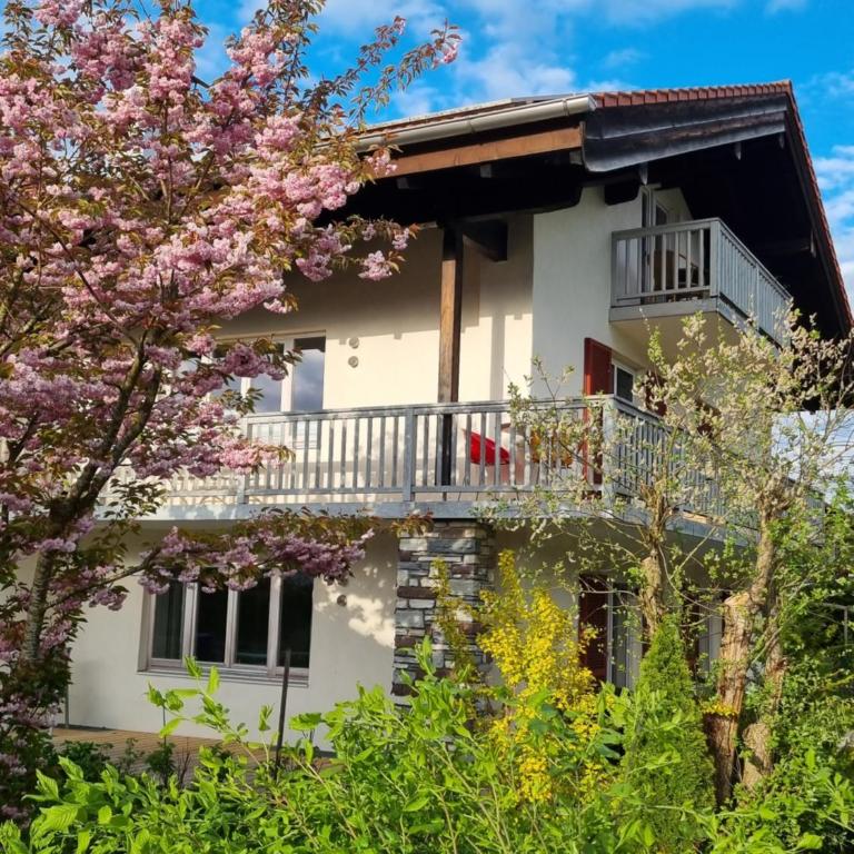 Ferienwohnung Gartenglück - Apartment - Erdgeschoss - 1