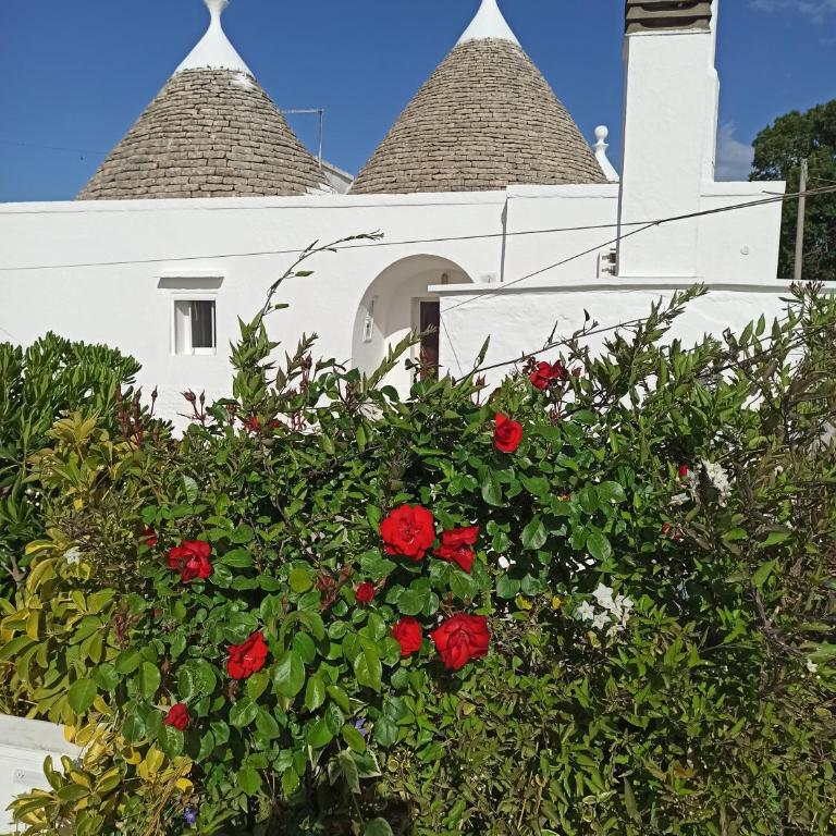 Trullo in piena valle d'itria del 1800 - Casa con 3 Camere da Letto - 1