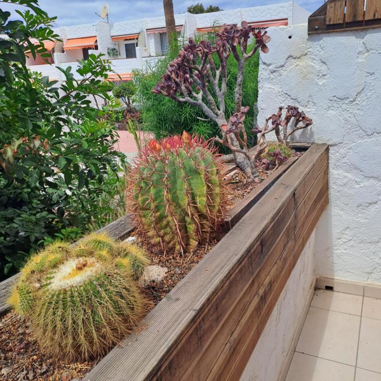 STUDIO POOLVIEW Ground floor - Estudio - 25