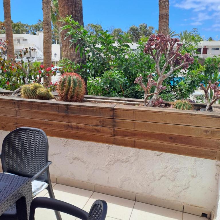 STUDIO POOLVIEW Ground floor - Estudio - 26