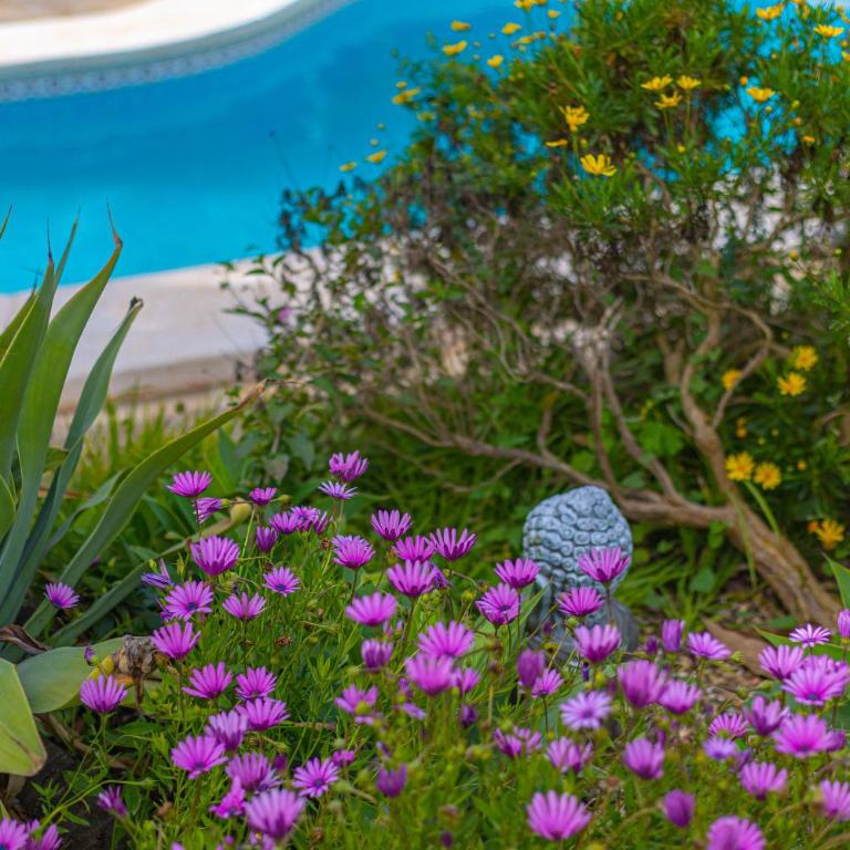 Villa Bella Costa by Abahana Villas - Villa - 7